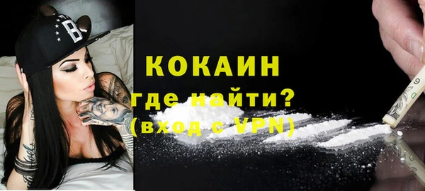 гидра Верея