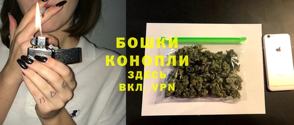 гидра Верея