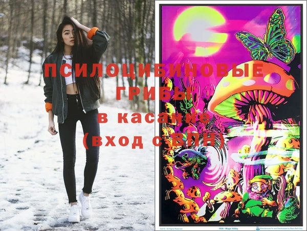 МДПВ Волосово