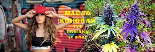 гидра Верея