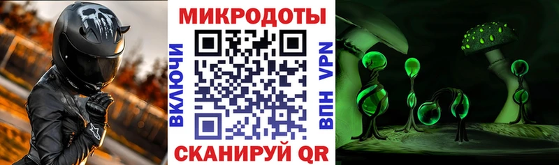 Галлюциногенные грибы Psilocybe  купить   Тамбов 